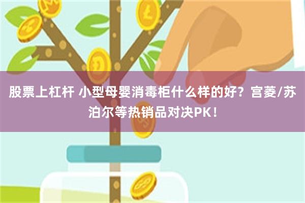 股票上杠杆 小型母婴消毒柜什么样的好？宫菱/苏泊尔等热销品对决PK！