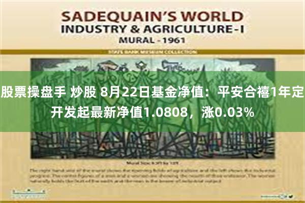 股票操盘手 炒股 8月22日基金净值：平安合禧1年定开发起最新净值1.0808，涨0.03%