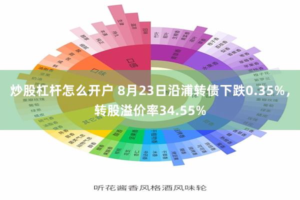 炒股杠杆怎么开户 8月23日沿浦转债下跌0.35%，转股溢价率34.55%