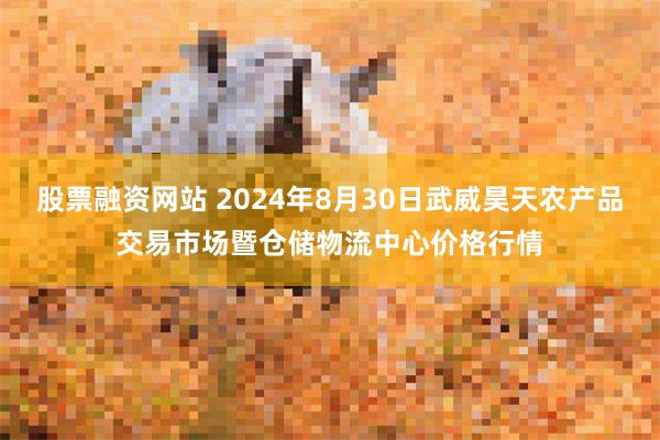 股票融资网站 2024年8月30日武威昊天农产品交易市场暨仓储物流中心价格行情