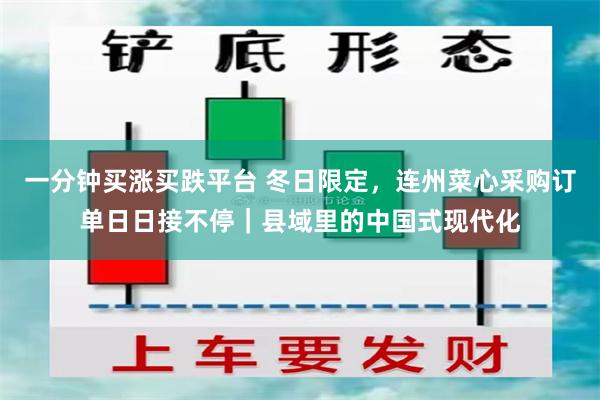 一分钟买涨买跌平台 冬日限定，连州菜心采购订单日日接不停｜县域里的中国式现代化