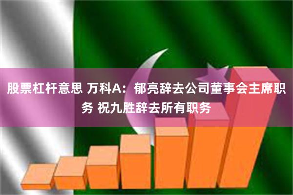 股票杠杆意思 万科A：郁亮辞去公司董事会主席职务 祝九胜辞去所有职务