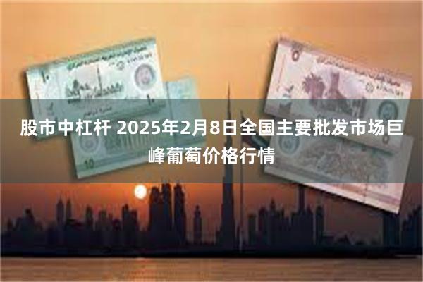 股市中杠杆 2025年2月8日全国主要批发市场巨峰葡萄价格行情