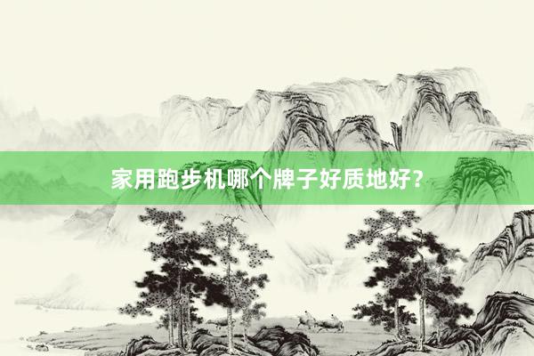 家用跑步机哪个牌子好质地好？