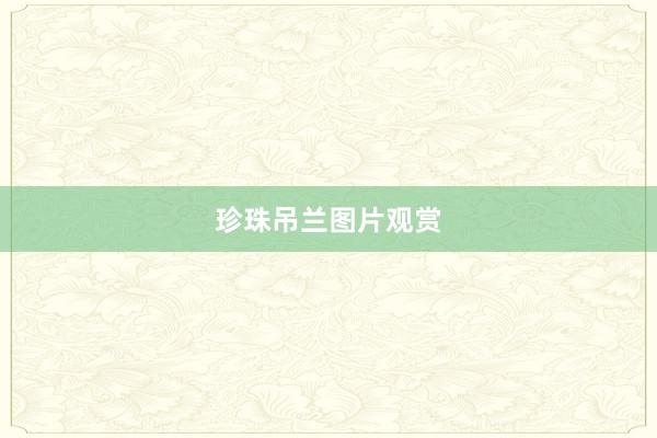 珍珠吊兰图片观赏
